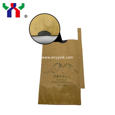 Customized apple pear grape Hami melon double-layer fruit paper bag